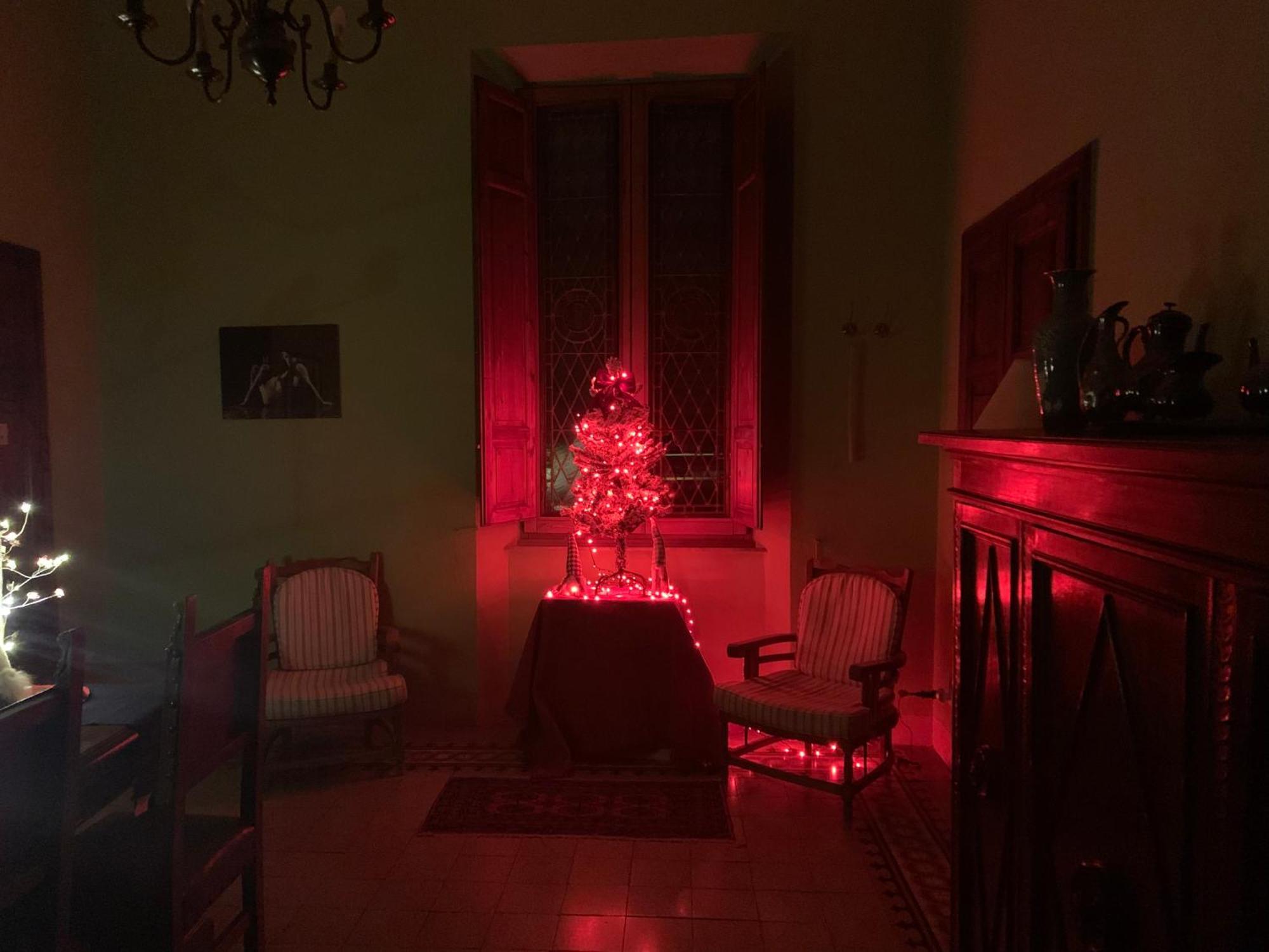 Casa Benvenuti * Pise